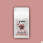 Sr. Rafeiro Grain Free Júnior Salmão – Ração Sem Cereais | GORKY PETS