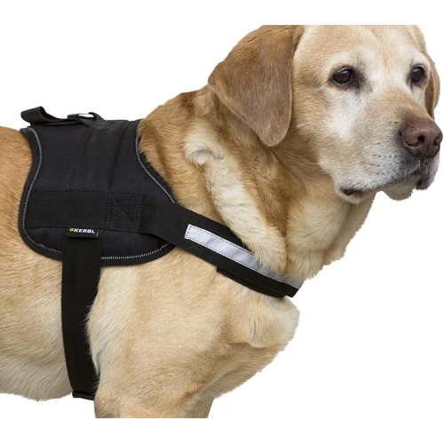 KERBL Peitoral Maestro 1.0 | GORKY PETS