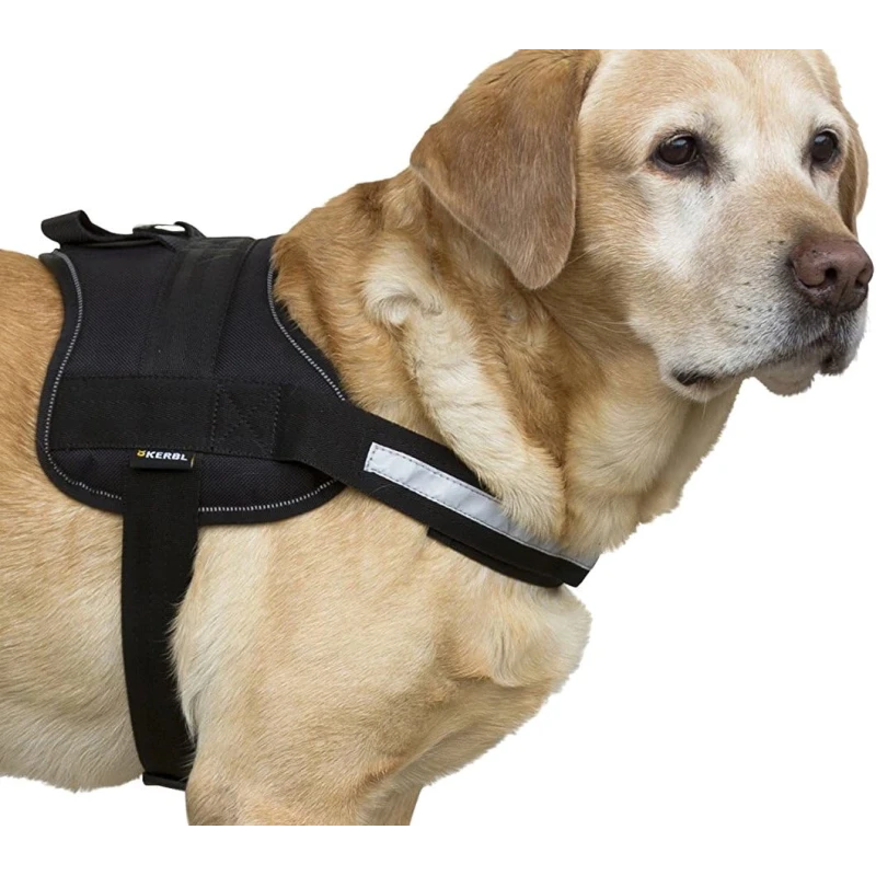 KERBL Peitoral Maestro 1.0 | GORKY PETS