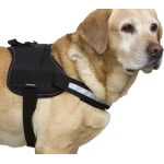 KERBL Peitoral Maestro 1.0 | GORKY PETS