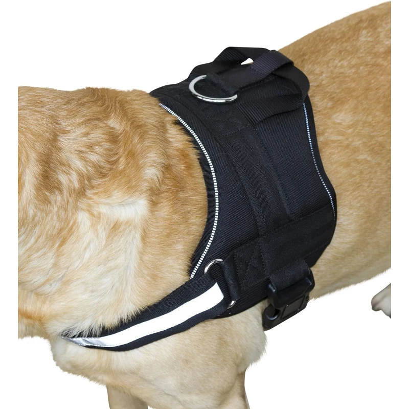 KERBL Peitoral Maestro 1.0 | GORKY PETS