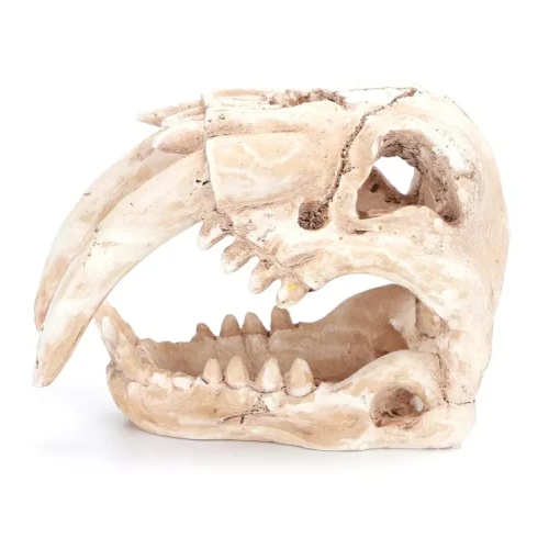 Caveira Decorativa | GORKY PETS