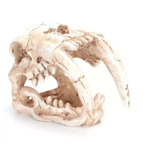 Caveira Decorativa | GORKY PETS