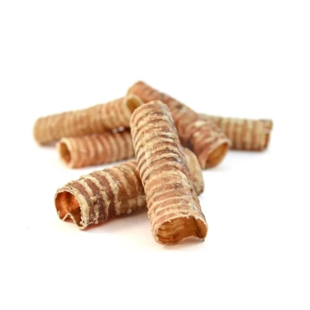 Traqueia de Vaca Natural Desidratada – Snack para Cães | GORKY PETS