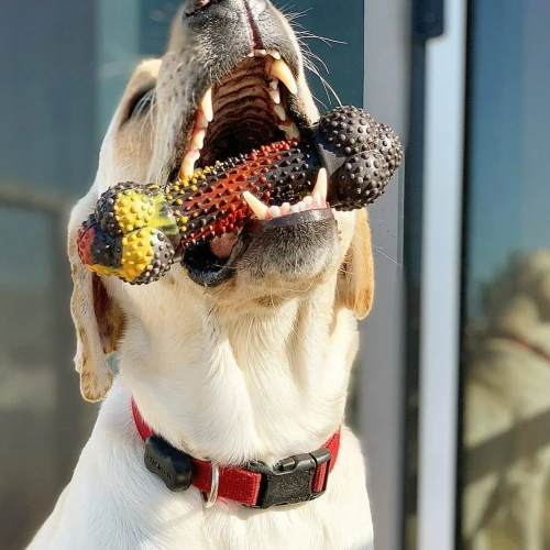 Bacon Cheeseburguer - Nylabone