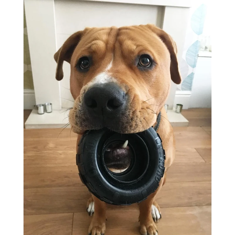KONG Extreme Tires | GORKY PETS