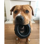 KONG Extreme Tires | GORKY PETS