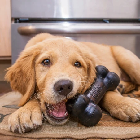 KONG Extreme Goodie Bone | GORKY PETS