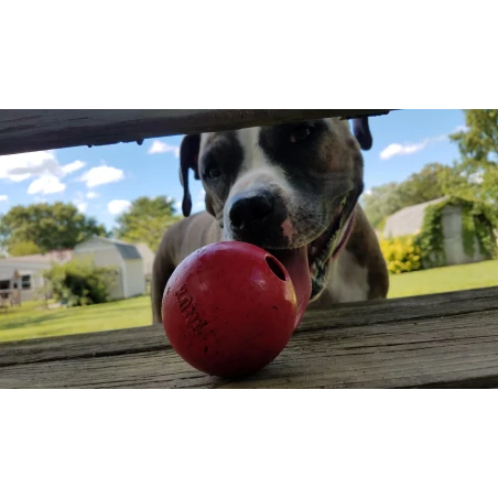 KONG Classic Ball | GORKY PETS