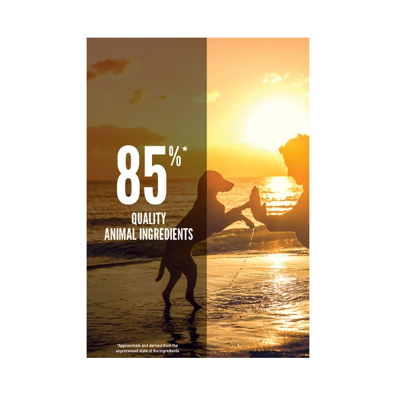 ORIJEN Puppy | GORKY PETS