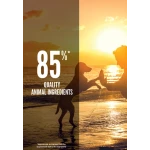 ORIJEN Puppy | GORKY PETS