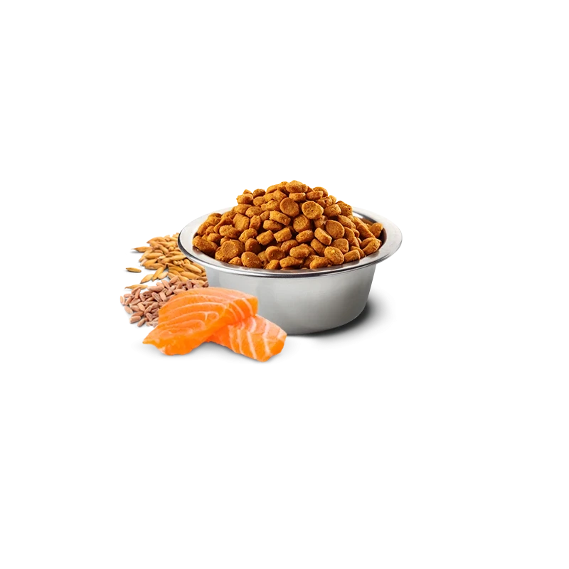 Farmina N&D Tropical Medium Maxi Salmão Ração Cão Adulto