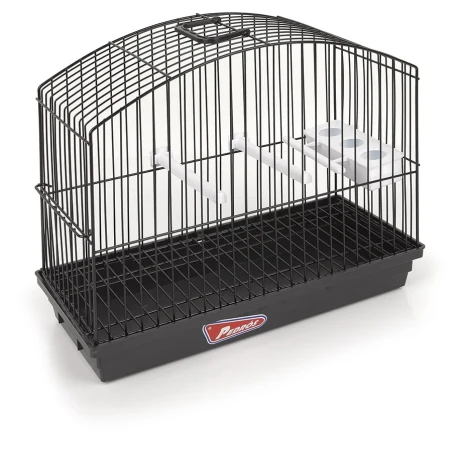 Gaiola Exposição Border - Pedrós | GORKY PETS