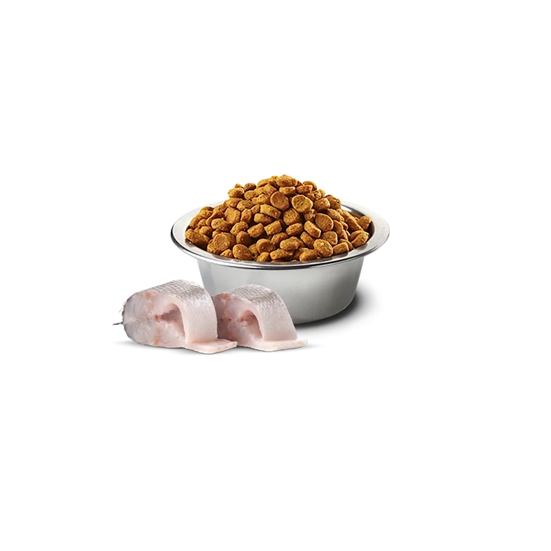 N&D White Sea Bass, Spirulina & Fennel Puppy Mini | Ração Completa para Cachorros