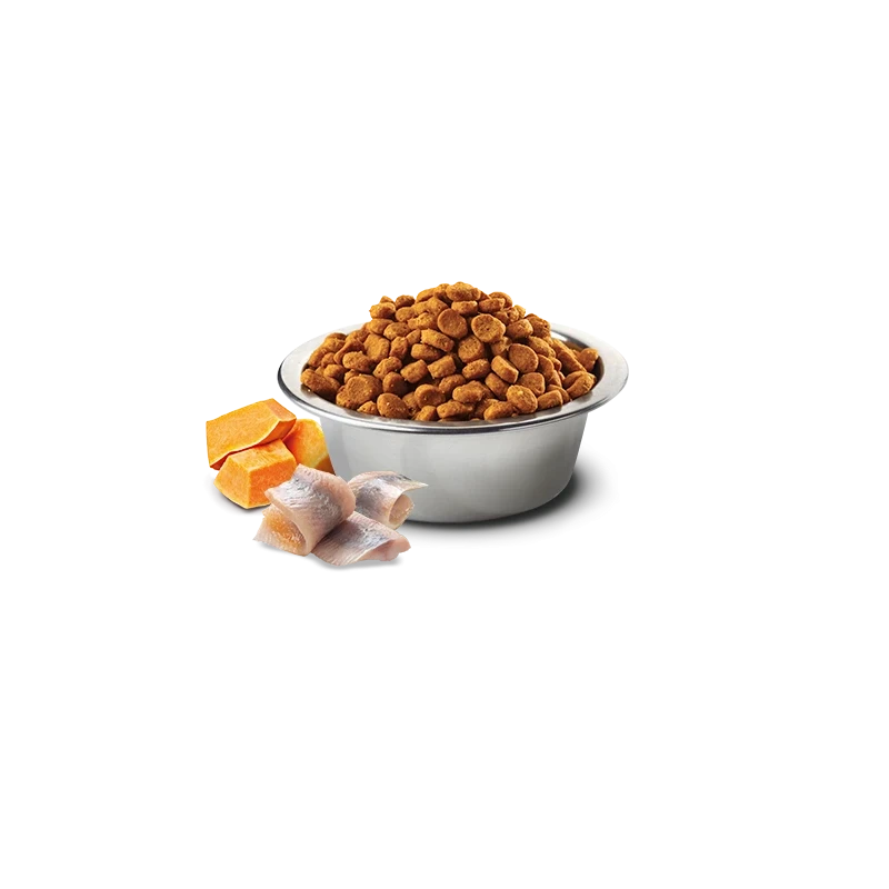 Farmina N&D Ocean Cod, Pumpkin & Orange Adult Mini - Ração Superpremium Sem Cereais