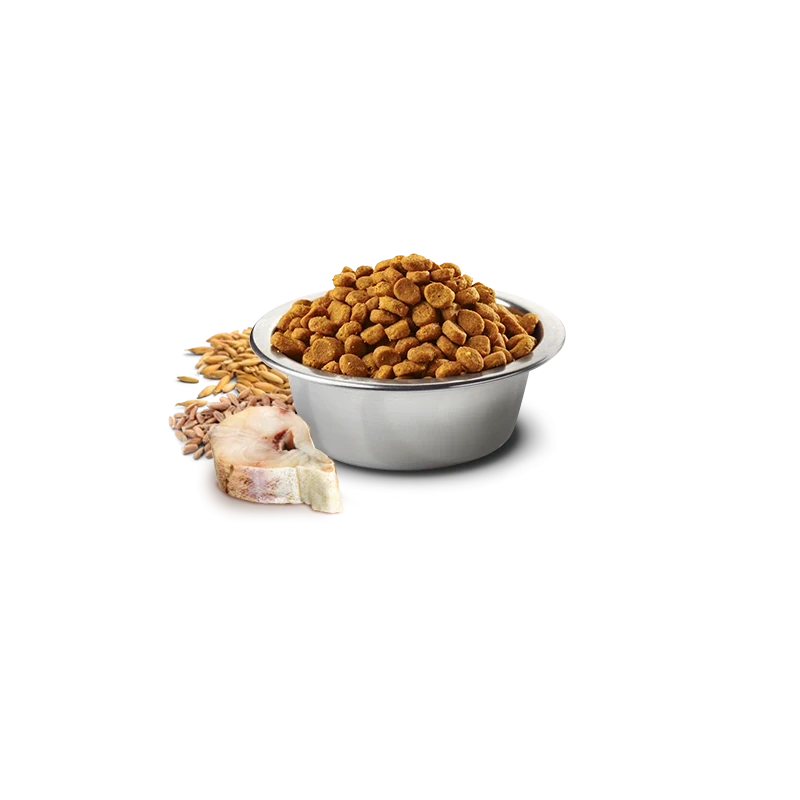 Farmina N&D Ocean Cod, Spelt, Oats & Orange Adult Medium & Maxi - Ração Superpremium com Cereais