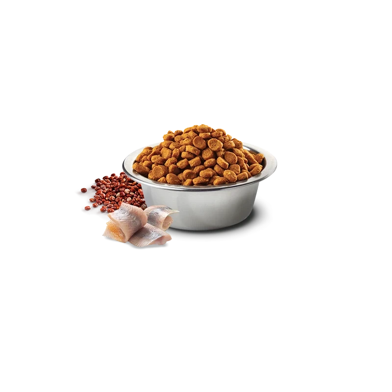 N&D Quinoa Skin & Coat Herring Medium & Maxi – Ração Sem Cereais