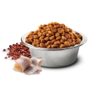 N&D Quinoa Skin & Coat Herring Medium & Maxi – Ração Sem Cereais