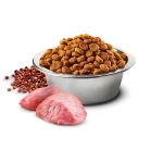 N&D Quinoa Digestion Lamb Mini – Ração Sem Cereais