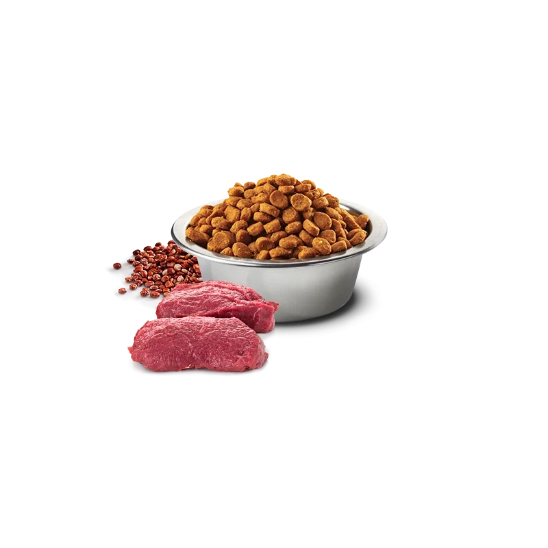 Farmina N&D Quinoa Skin & Coat Venison Mini - Ração Superpremium Sem Cereais