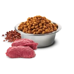 Farmina N&D Quinoa Skin & Coat Venison Mini - Ração Superpremium Sem Cereais