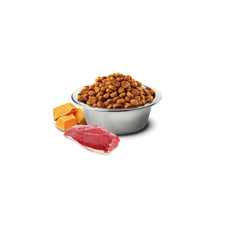 Farmina N&D Pumpkin Duck & Cantaloupe Melon Adult Mini – Ração Sem Cereais