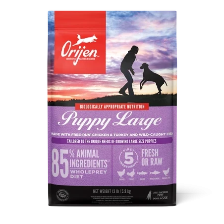 ORIJEN Puppy Large  | GORKY PETS
