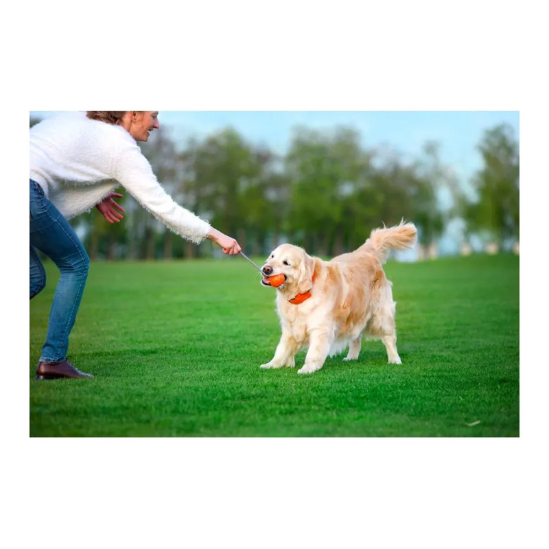 LIKER CORD - Bola com Corda para Cão - PULLER | GORKY PETS