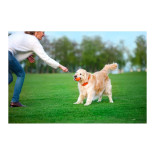 LIKER CORD - Bola com Corda para Cão - PULLER | GORKY PETS