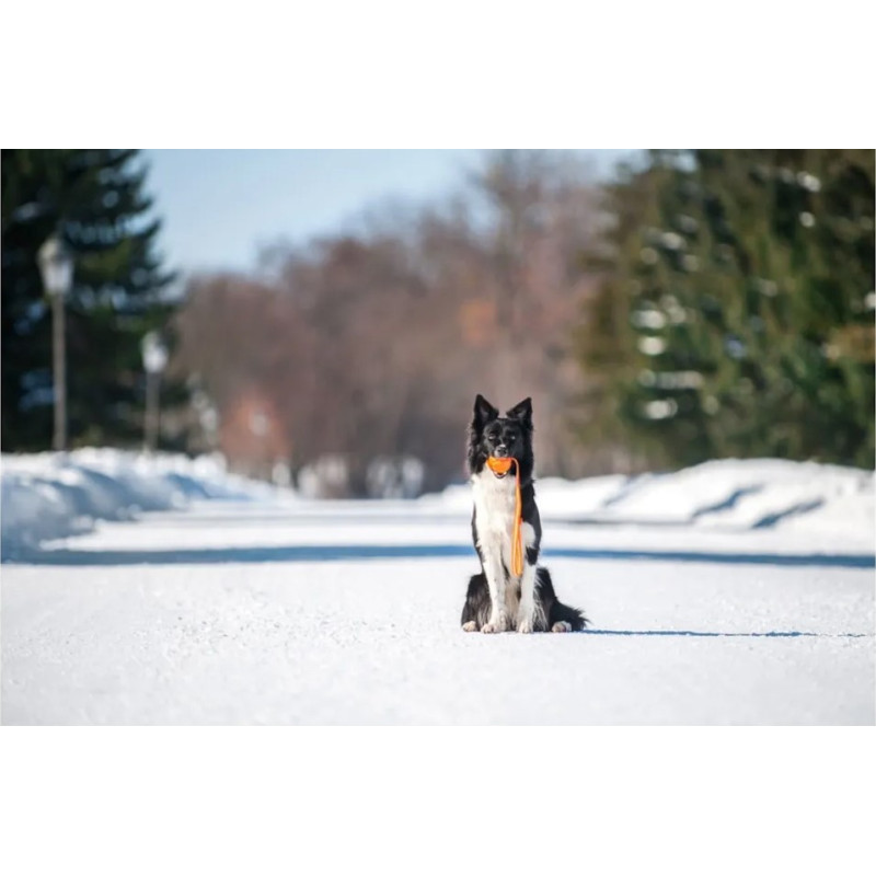 LIKER LINE - Bola com Corda para Cão - PULLER | GORKY PETS