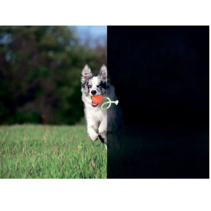 LIKER LUMI - Bola com Corda para Cão - PULLER | GORKY PETS