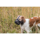Trixie Açaime em Silicone Flex | GORKY PETS
