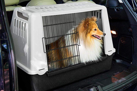 Transportadoras para Carro