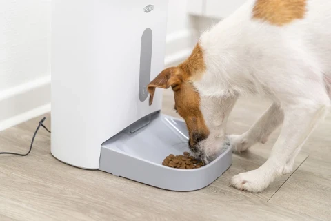 Smart Home Acessórios para Cão