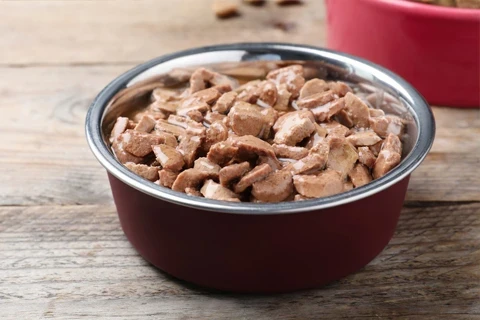 Alimentação Húmida para Cão
