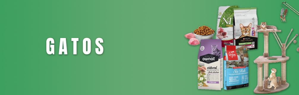 banners categorias - gatos.jpg