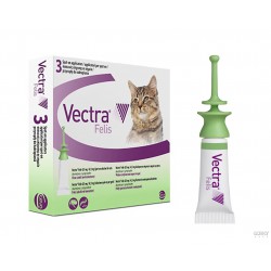 Vectra 3D Gato