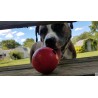 KONG Classic Ball