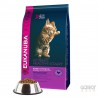 Eukanuba Cat Healthy Start KITTEN