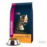 Eukanuba Cat Adult - Top Condition 1+