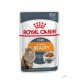 Royal Canin Intense Beauty Gravy - Saquetas