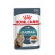Royal Canin Hairball Gravy - Saquetas