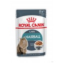 Royal Canin Cat Hairball - Saquetas