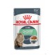Royal Canin Digest Sensitive Gravy - Saquetas