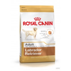 Royal Canin Labrador Retriever Adult