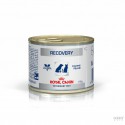 Royal Canin VET DIET - Latas Recovery Canine & Feline