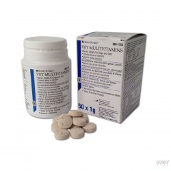 VITAMIN Comprimidos Multivitaminicos (50 comp)