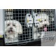 Caixa transportadora GULLIVER TOURING IATA - 2 cães