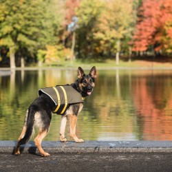 Colete salva-vidas para cães do Exército dos EUA