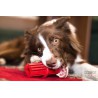 Kong Dental Stick